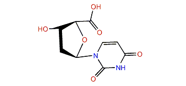 2'-Deoxyuridine-5'-carboxylic acid